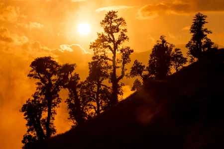 Sunset in Himalayan jungle Junbesi Solu Khumbu Nepal.の写真素材