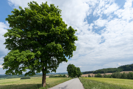 South Bohemian landscape in summer Tel South Bohemia Czech Republic.の写真素材