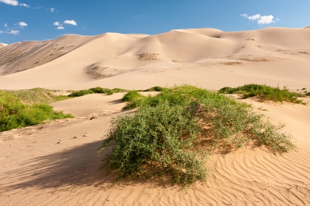Sand dunes Khongoryn Els in Gobi Desert, Umnugovi, South Gobi, Mongolia.の写真素材