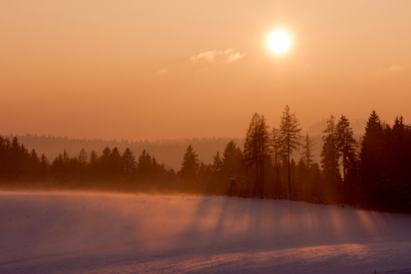 Landscape with winter forest and bright sunbeams. Sunrise, sunset in cold snowy landscape.の写真素材