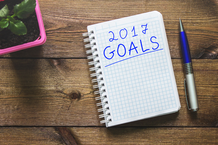 Goals are written in a notepad and a plant with a handle on a wooden table