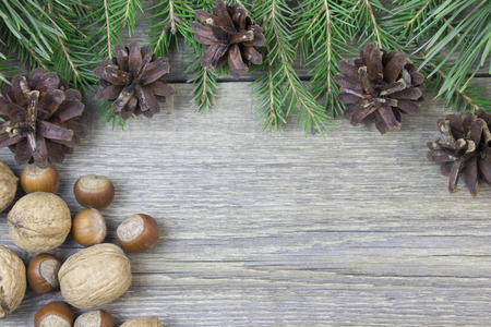 Fir-tree branch and nuts on wooden tableの写真素材