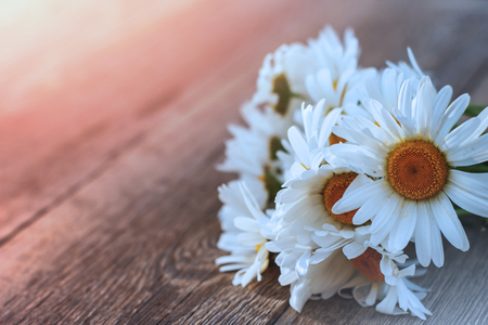 Chamomiles flowers on wooden table backgroundの写真素材