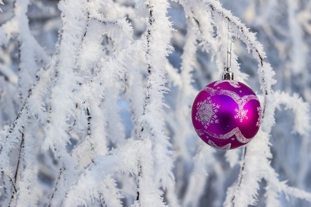 christmas ball on the background of snowの写真素材