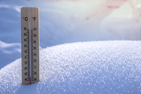 Wooden thermometer on the background of bare trees