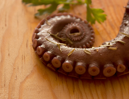 Octopus to fine herbs and vegetablesの写真素材