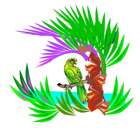 parrot on the tree のイラスト素材