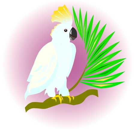 cockatoo sitting on the branchのイラスト素材