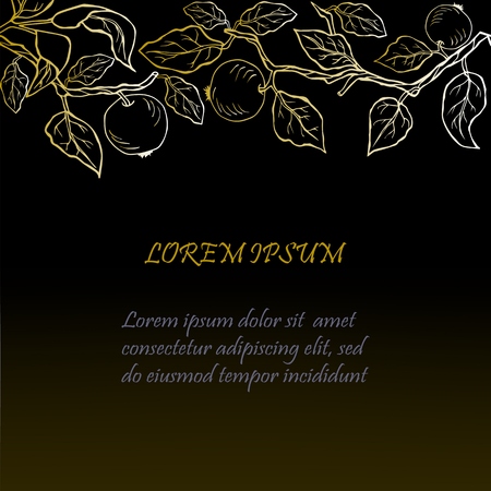 Template with golden apples on black background. Text copy frame template.のイラスト素材