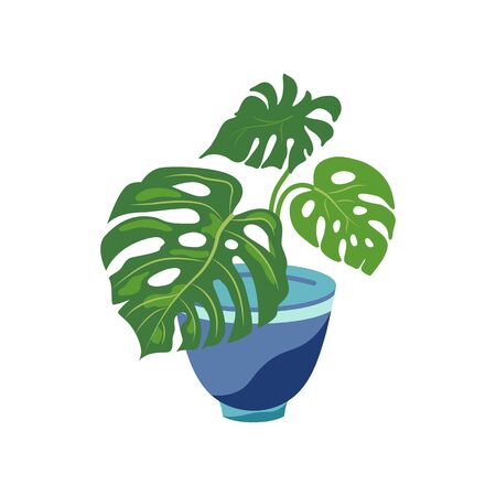 Potted plant mostera for urban jungle, green home decor. Flat cartoon style design. Vector illustration isolated on white background.のイラスト素材