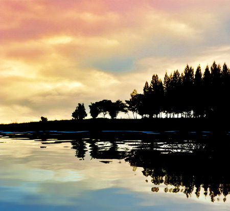 silhouette pine tree scenes with water reflectionの写真素材