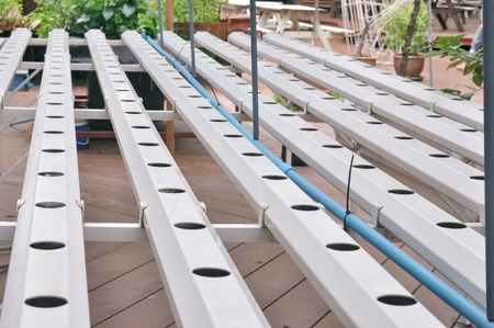 Organic hydroponic green house setupの写真素材