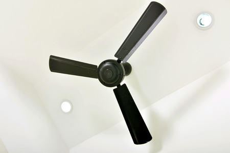four blades black ceiling fan on designed ceilingの写真素材