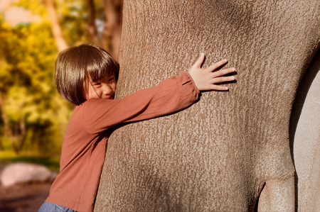 portrait of a cute asian little girl hugging big tree.の写真素材