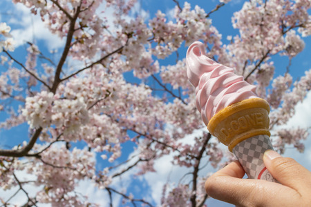 Soft creamの写真素材