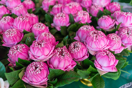 lotus tray for worshipの写真素材