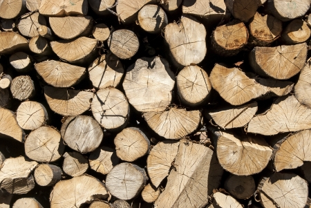 Stacked oak firewood in countryside as backgroundの写真素材