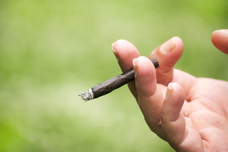 Female hand holding a lighted hand-rolled cigaretteの写真素材