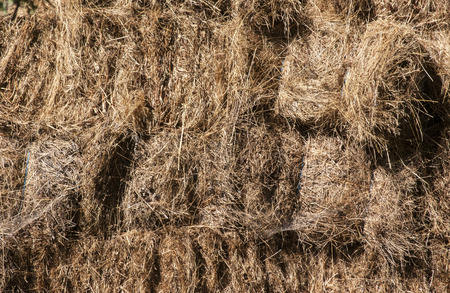 Stacked dry hay bales closeup as backgroundの写真素材