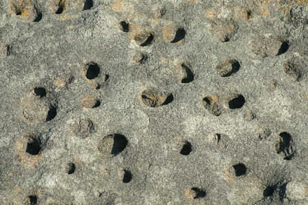 Sea rock surface closeup detail as backgroundの写真素材