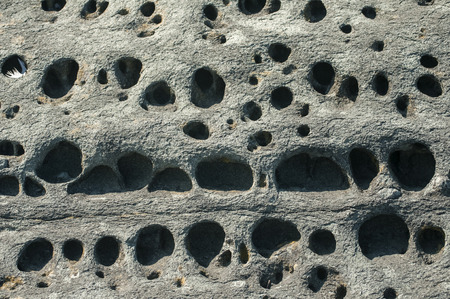 Sea rock surface closeup detail as backgroundの写真素材