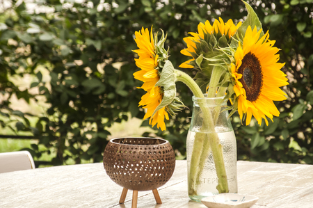 Sunflowers in glass bottle on wooden table in gardenの写真素材