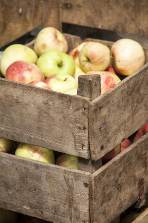 Organic apples on old vintage weathered wooden crate closeupの写真素材