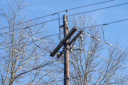 Electric power lines supported on wooden pole