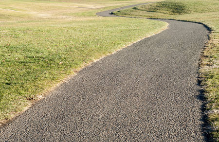 Asphalt alley among green grass fields in park in winter time