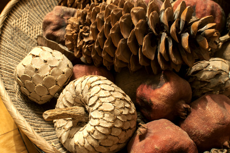 Dried exotic fruits and pine cone in wooden bowlの写真素材