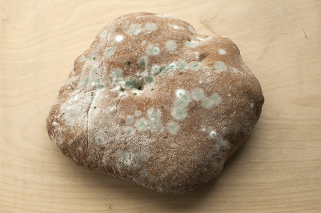 Moldy and musty round wheat bread on wooden backgroundの写真素材