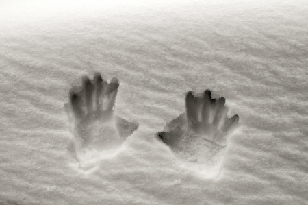 Print of human hands on covered with snow surfaceの写真素材