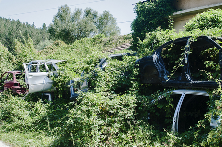 Old crushed cars bodies stored in auto wrecking junk yard for scrap and spare partsの写真素材