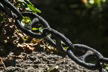 Thick iron black chain links fence closeup as a decorative element in park gardenの写真素材