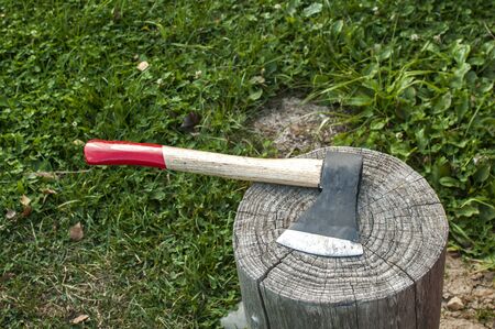 A blade of woodcutter ax with wooden handle closeup on old weathered tree trunk
