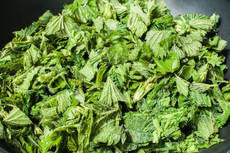 Chopped and steamed nettles ready for cooking closeup as food background