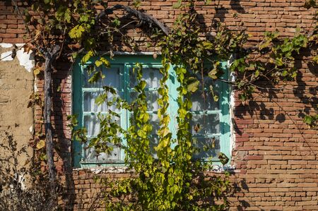 Old country house blue wooden window closeupの写真素材