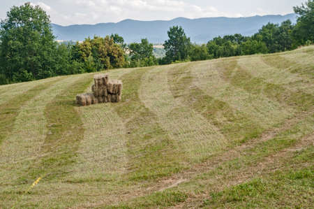 Bales of straw on mown mountain meadowの写真素材