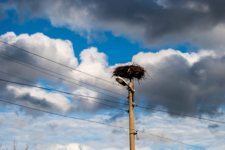 Empty stork nest on electric pole on cloudy sky backgroundの写真素材