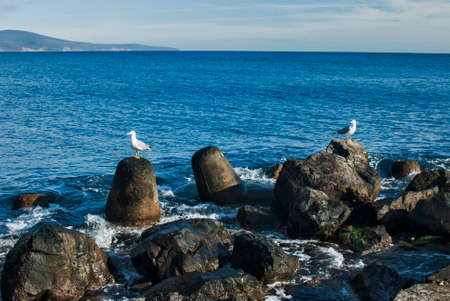 Landscape with seagulls landed on sea coastal rocksの写真素材