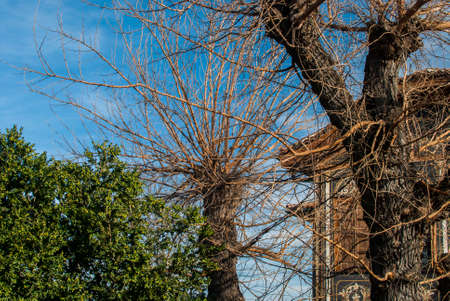 Old bulgarian traditional house closeup in sunny day