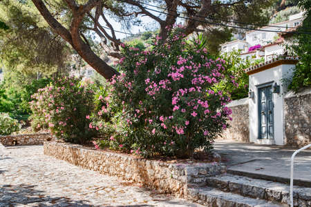 Street in small mediterranean town in sunny summer day