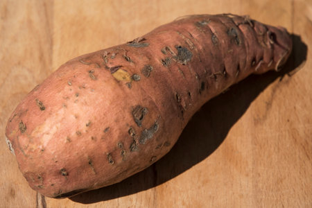 Sweet potato tuber closeup on wooden board backgroundの写真素材