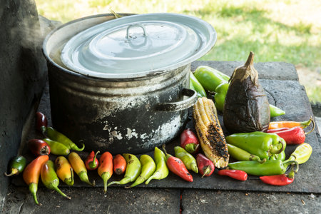 Roasting peppers and eggplant on iron plate on outdoor rustic hearthの写真素材