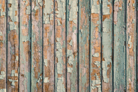 Wooden plank vintage bungalow wall with old weathered peeling paint closeup as grunge background