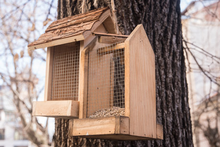 Bird feeders on street tree closeup