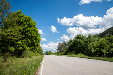 Asphalt road through the green forest with blue sky and white cloudsの写真素材