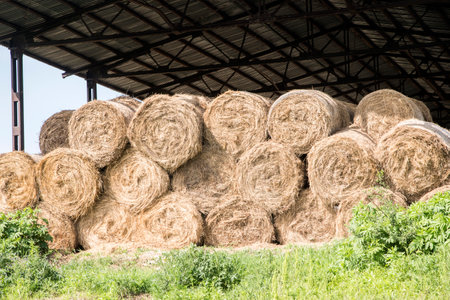 Hay bales stacked in a barn on a sunny summer day.
