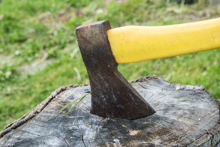 Axe stuck in a tree stump with green grass in the backgroundの写真素材