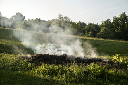 Burning grass on the meadow in summer. Rural landscape.の写真素材